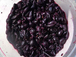 fermenting grapes with thick skins